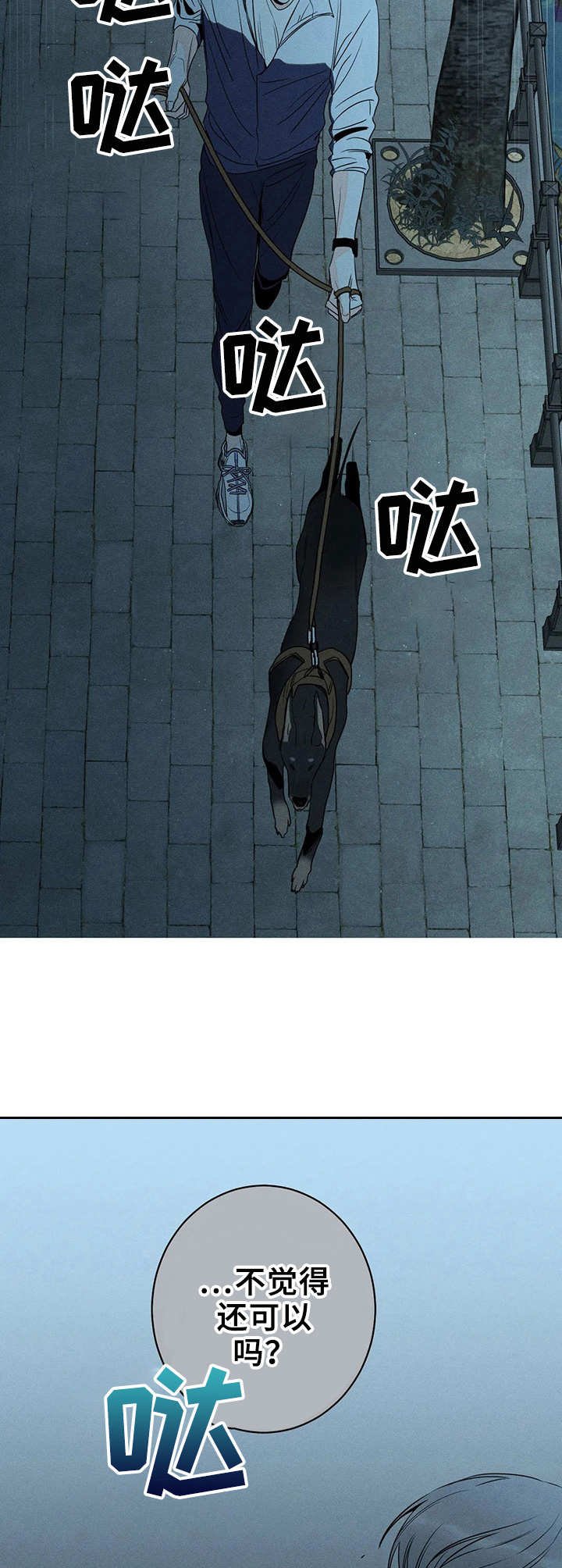第19章：电话