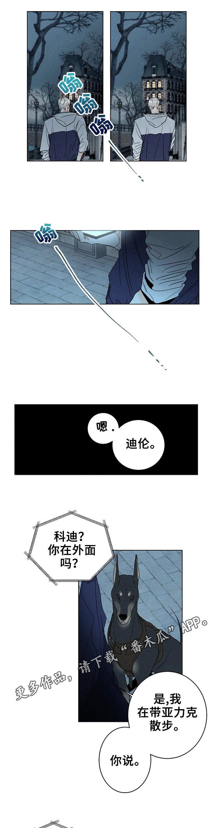 第19章：电话