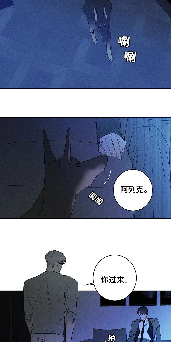 第46章：【第二季】期待