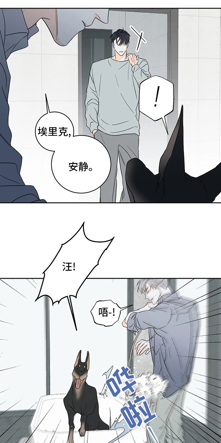 第50章：【第二季】火上浇油