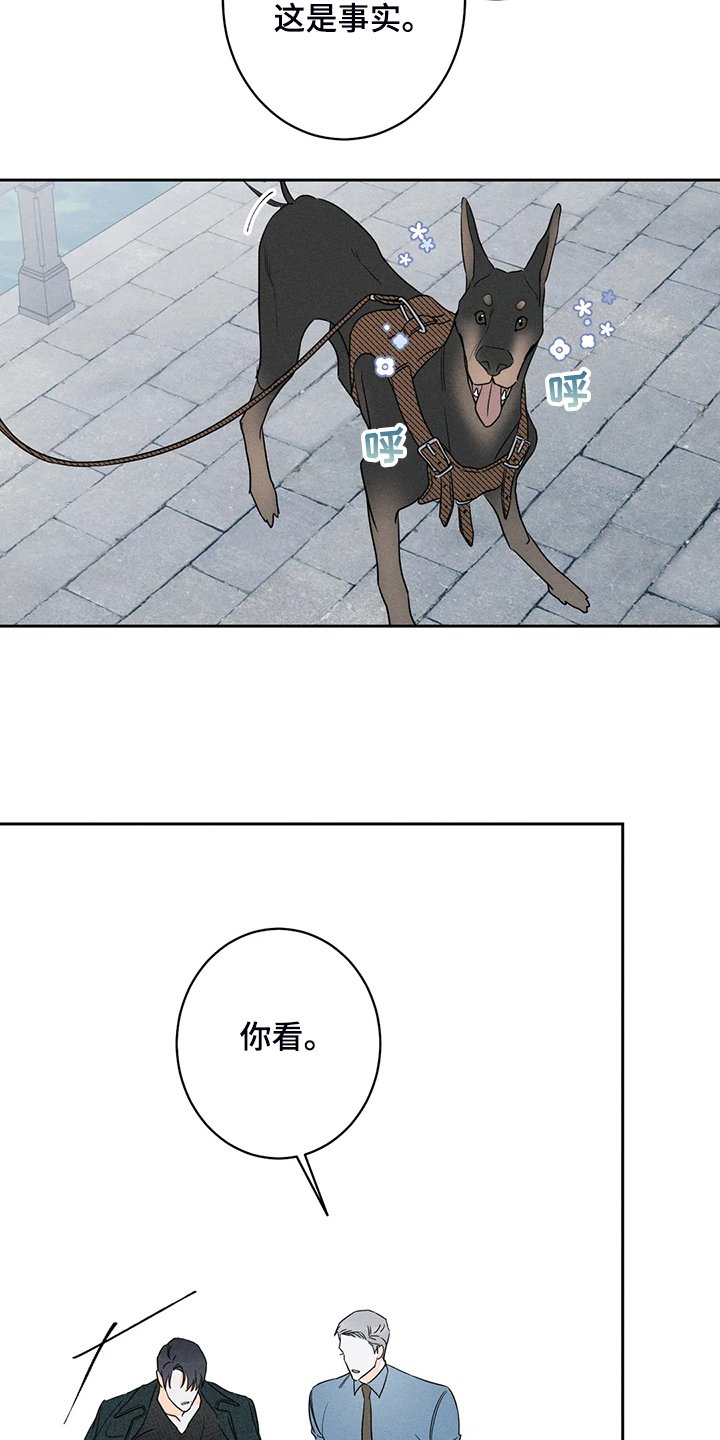 第61章：【第二季】这是事实