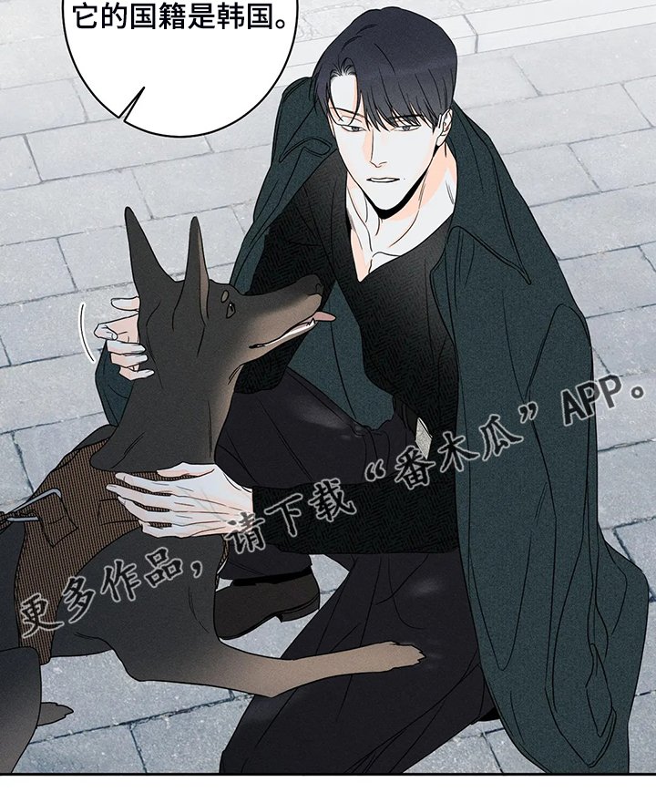 第61章：【第二季】这是事实
