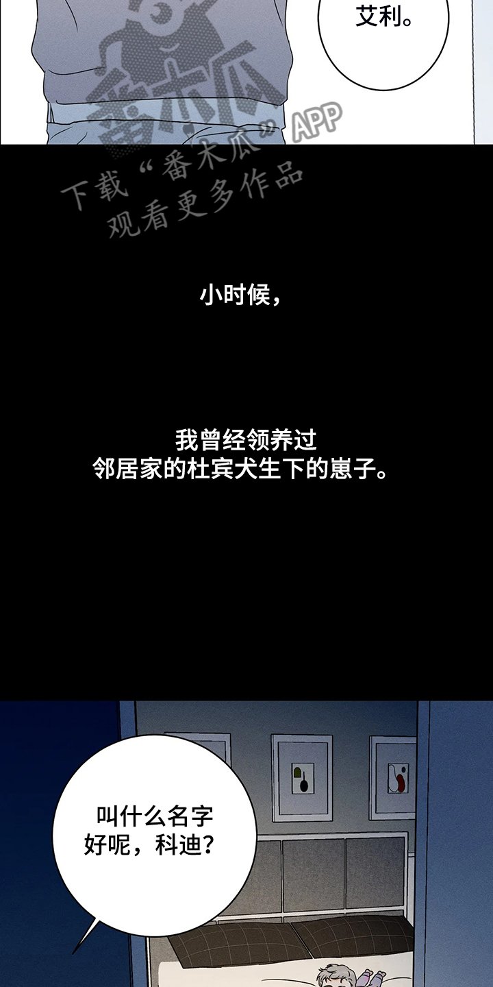 第64章：【第二季】没有能力守护