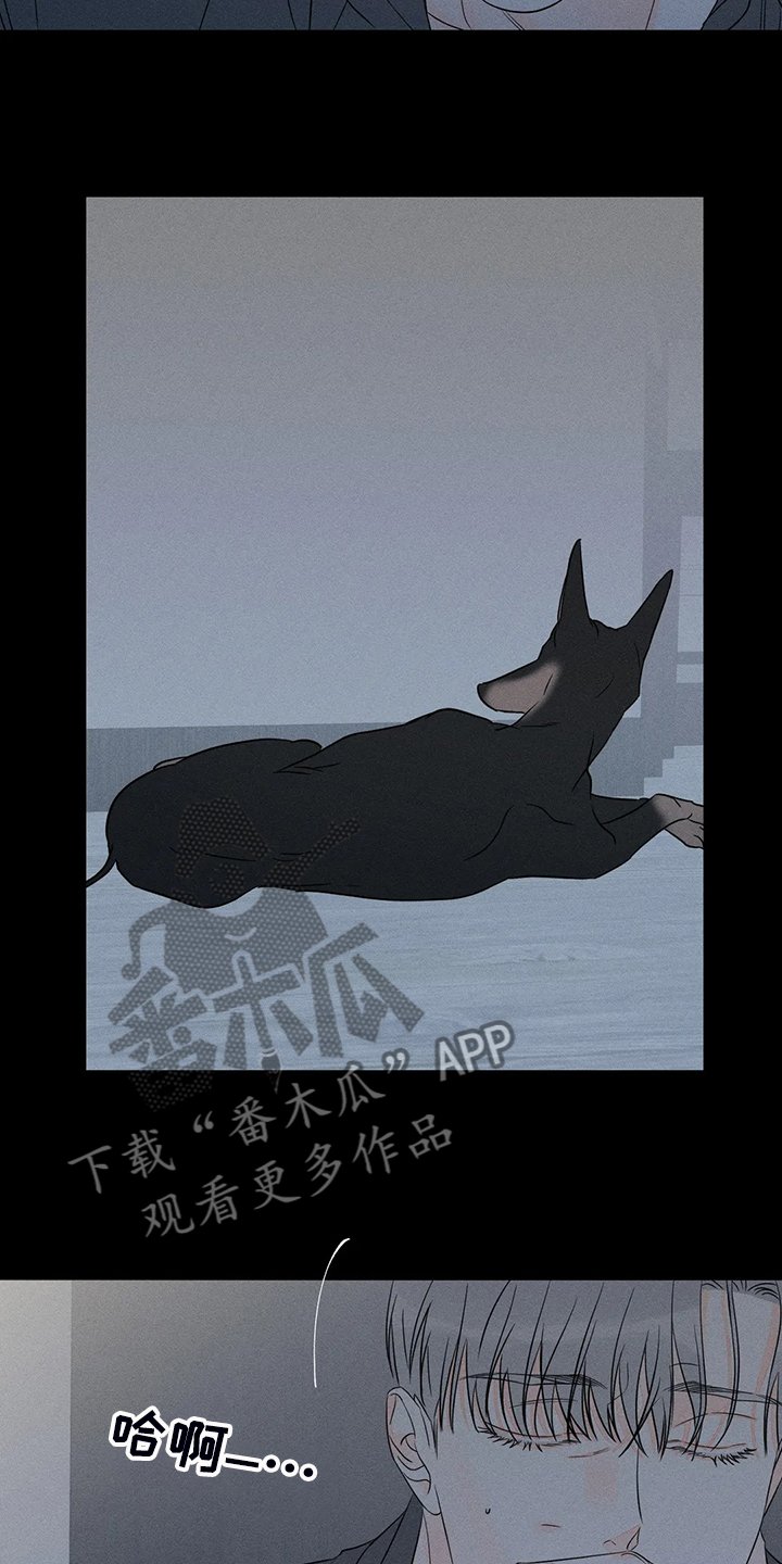 第64章：【第二季】没有能力守护