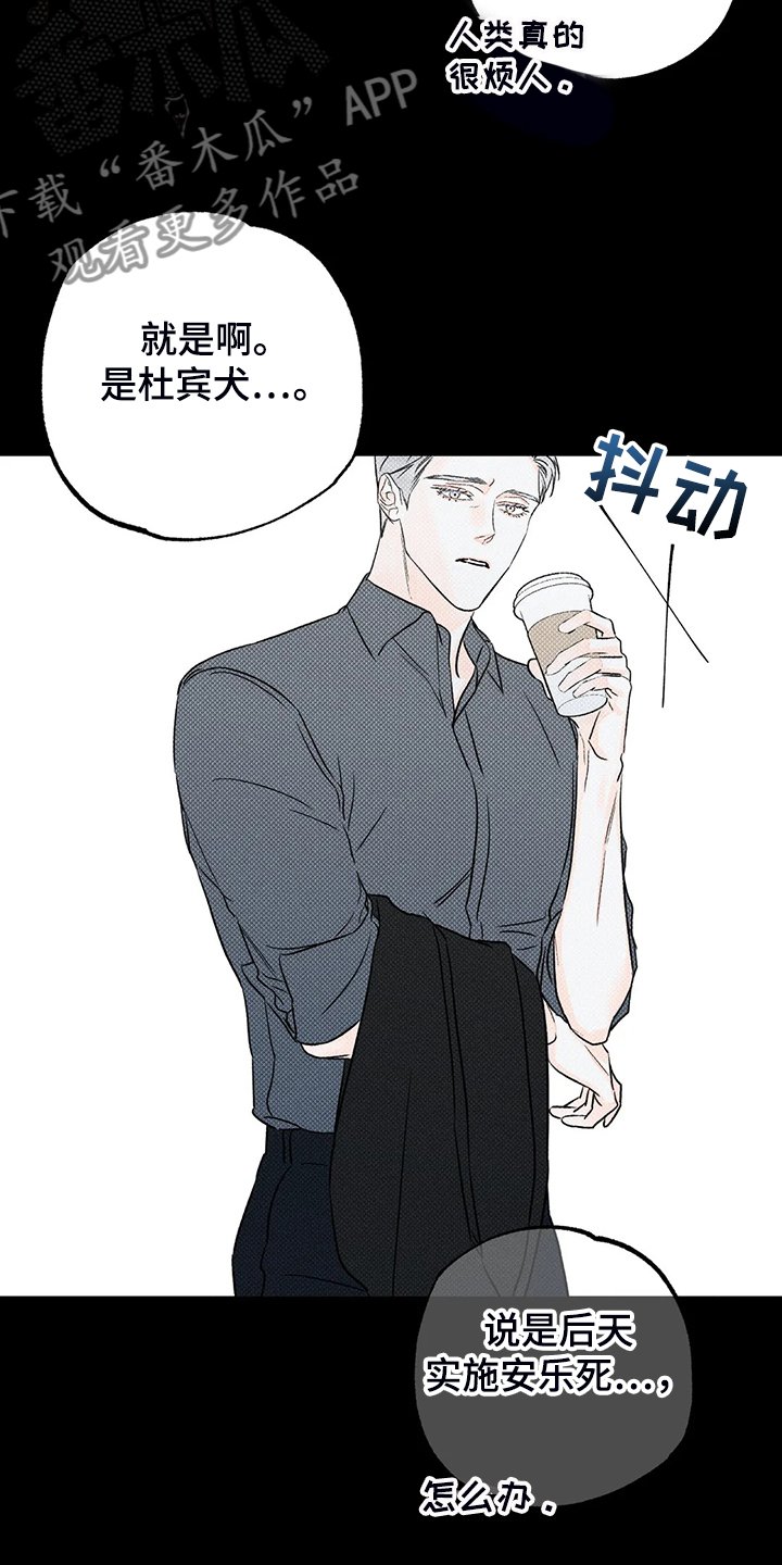 第64章：【第二季】没有能力守护