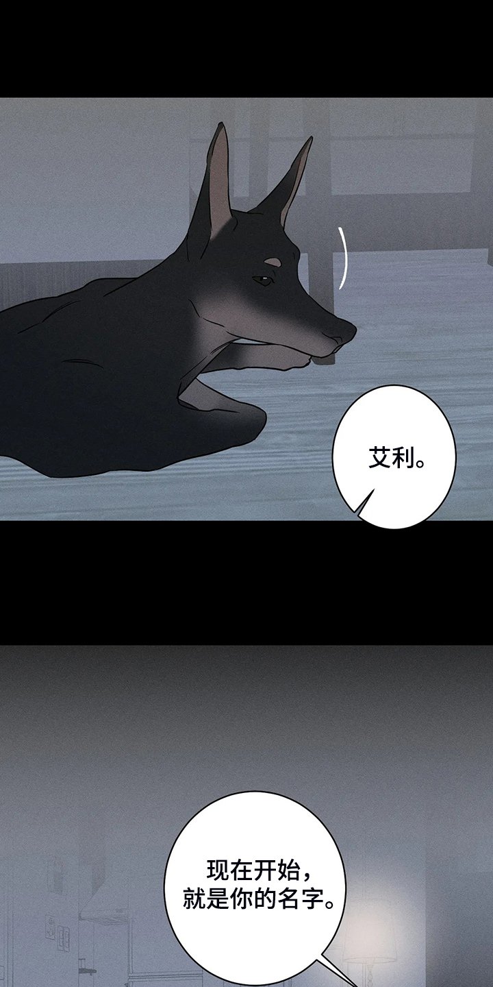 第64章：【第二季】没有能力守护