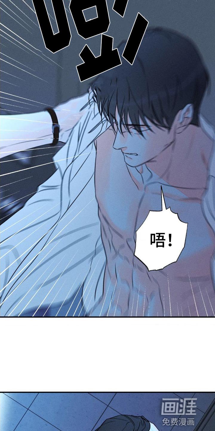 第88章：【第二季】各走各的