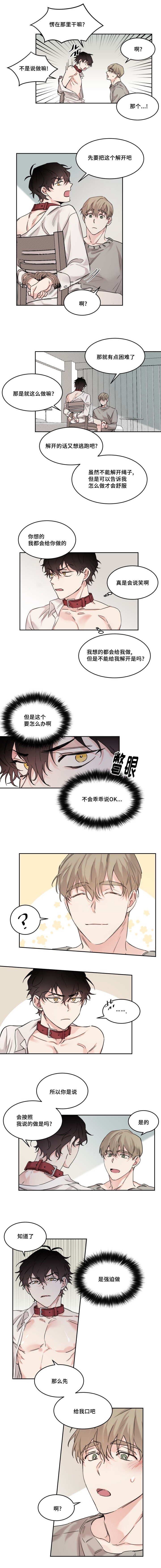 第11章：给我