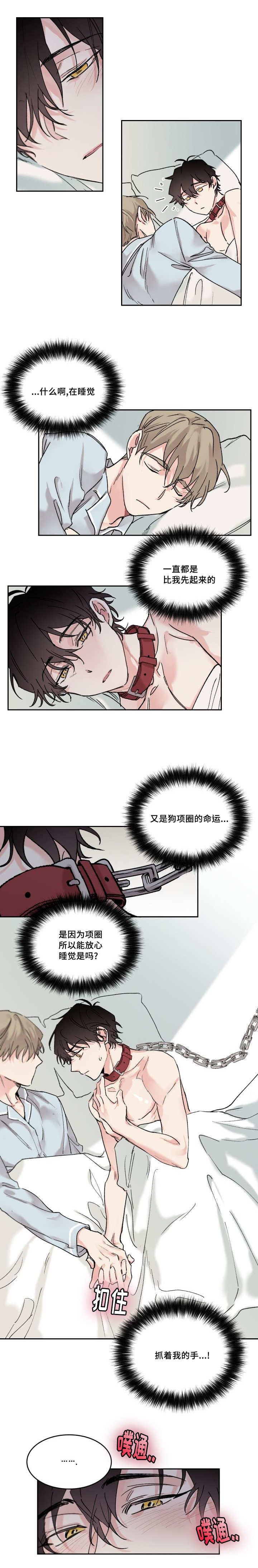 第12章：只有你啊