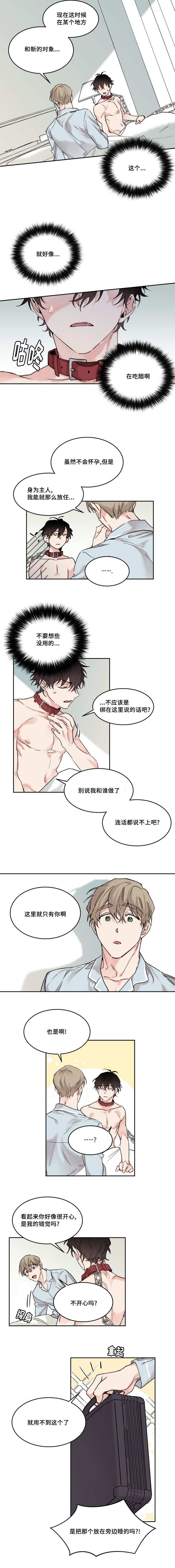 第12章：只有你啊