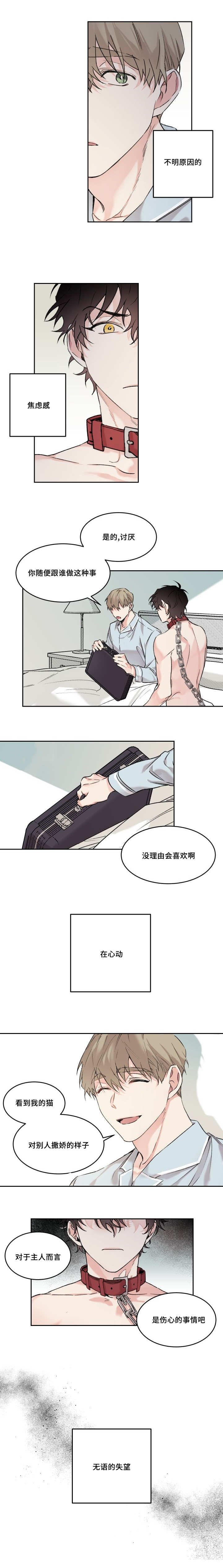 第13章：不记得我