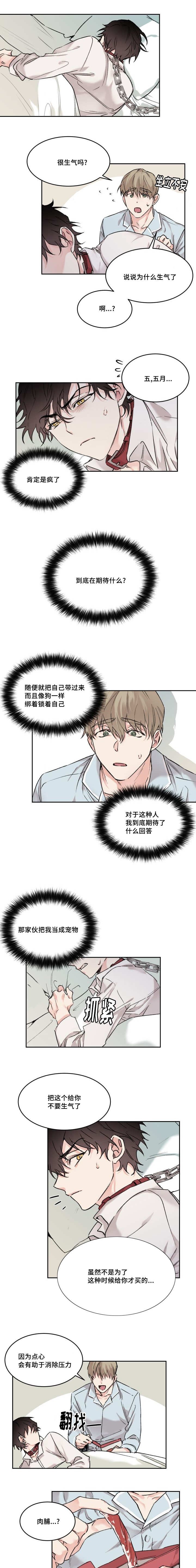 第13章：不记得我