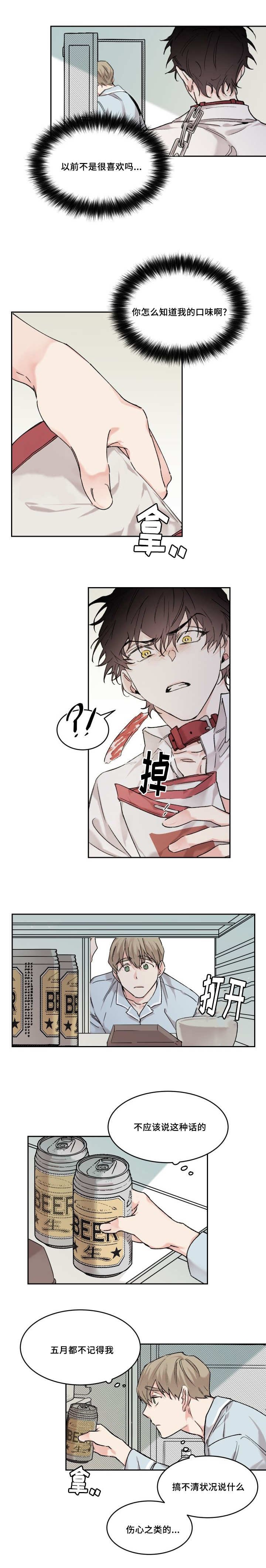 第13章：不记得我