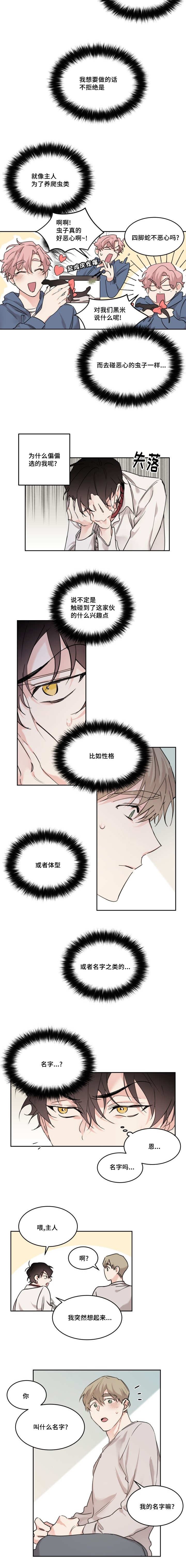 第15章：你的名字