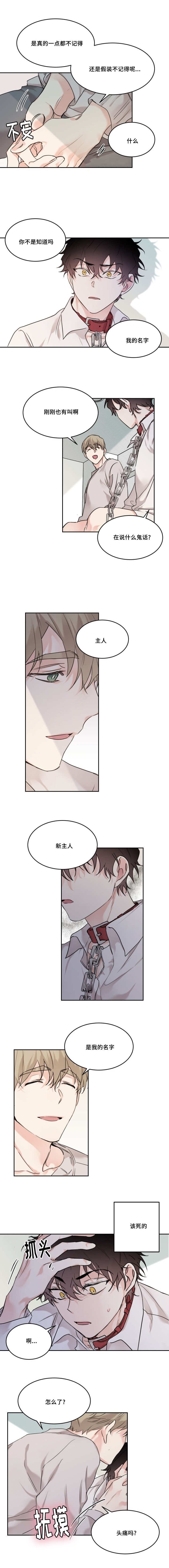 第16章：想起来了