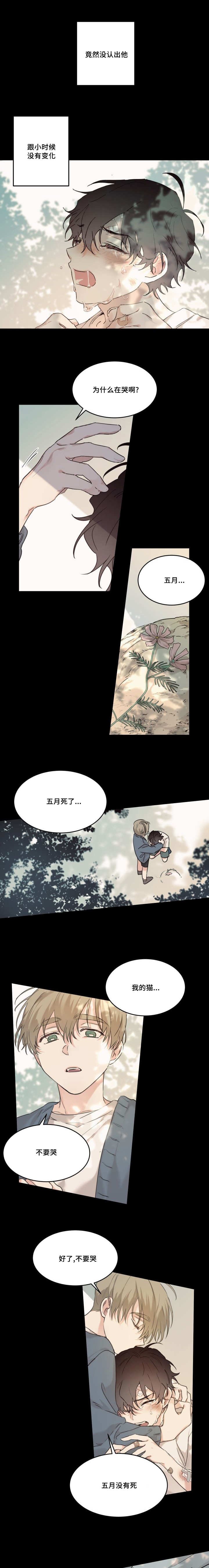 第16章：想起来了