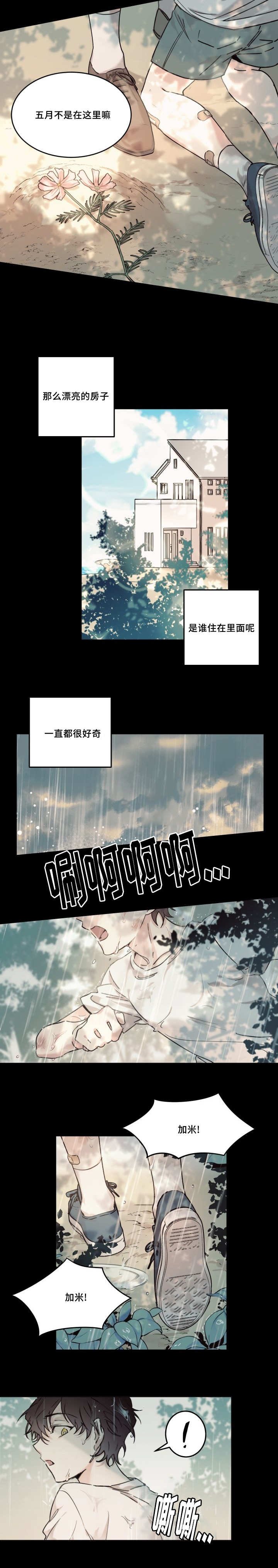 第16章：想起来了