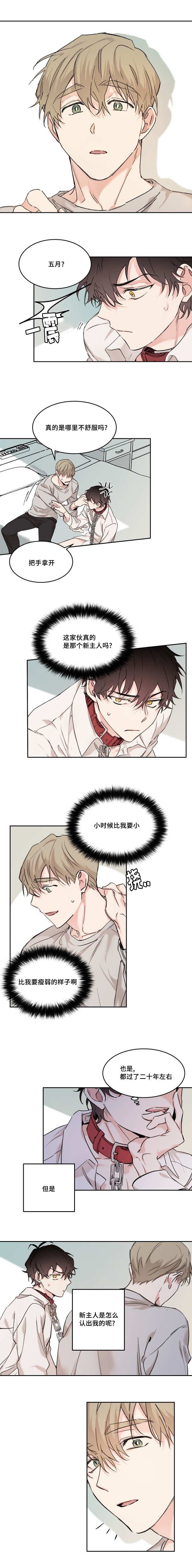 第17章：要离开我吗