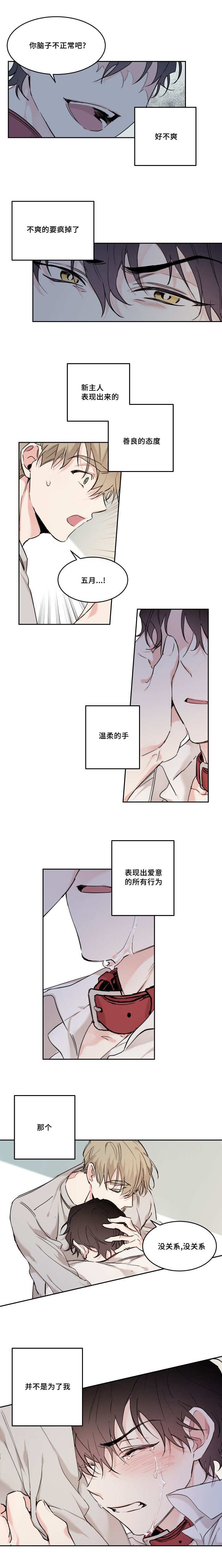 第18章：我就是五月