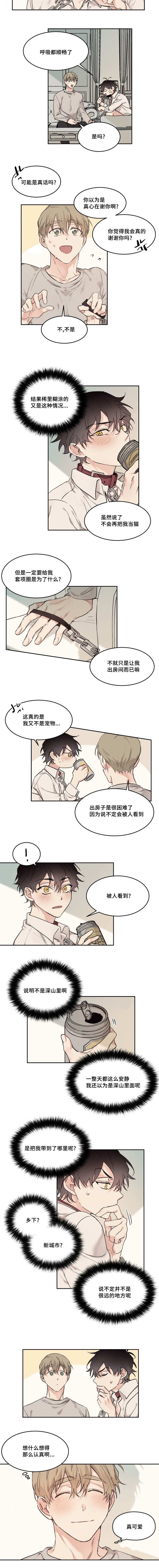 第19章：真是可爱