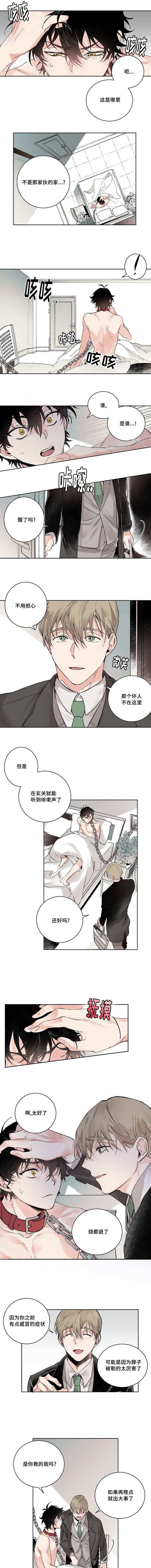 第2章：不记得我吗