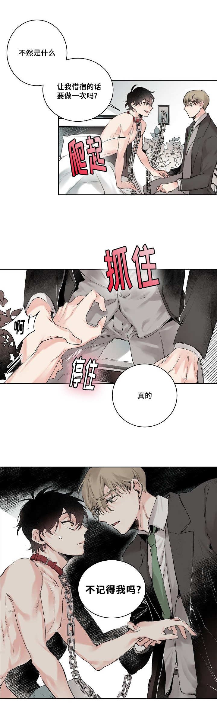 第2章：不记得我吗