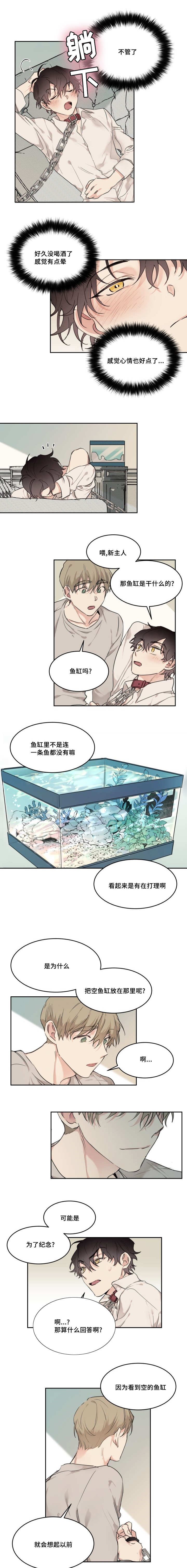 第20章：在干什么