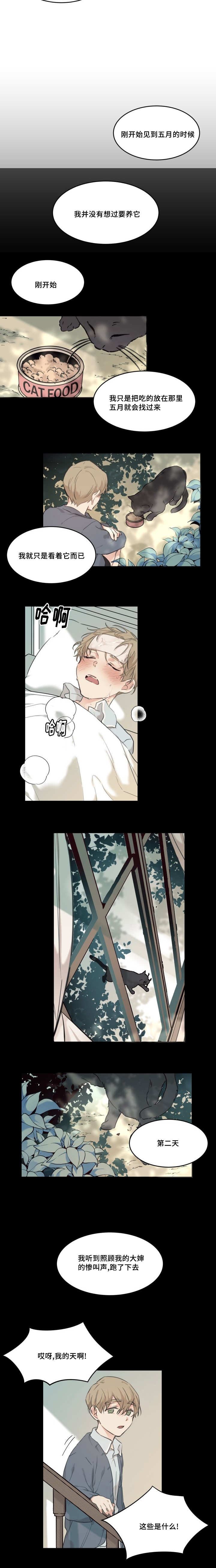 第20章：在干什么