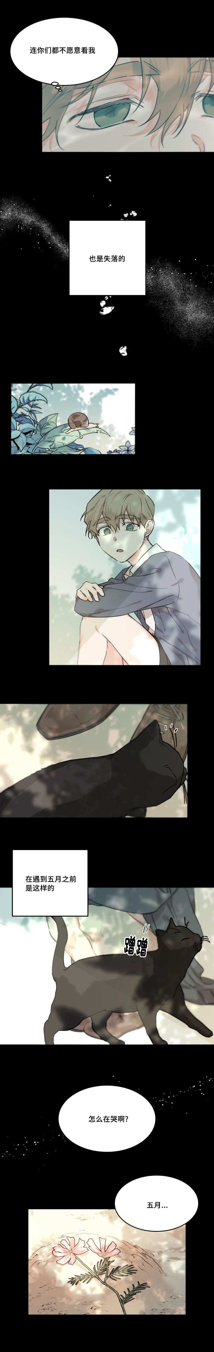 第21章：我很开心