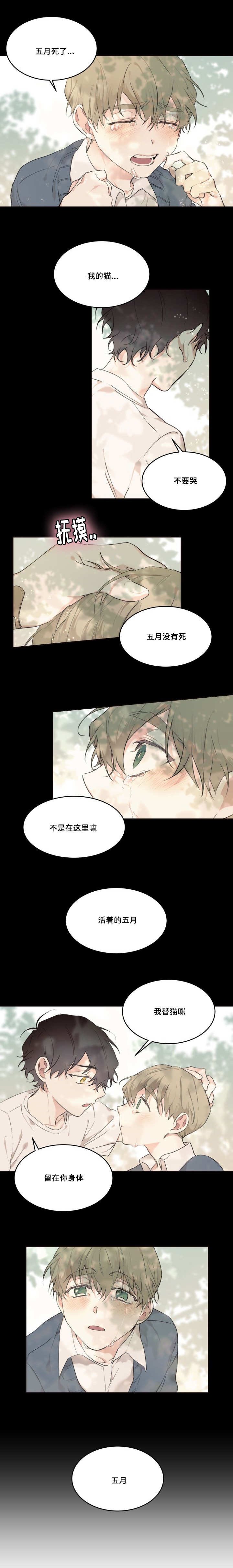 第21章：我很开心