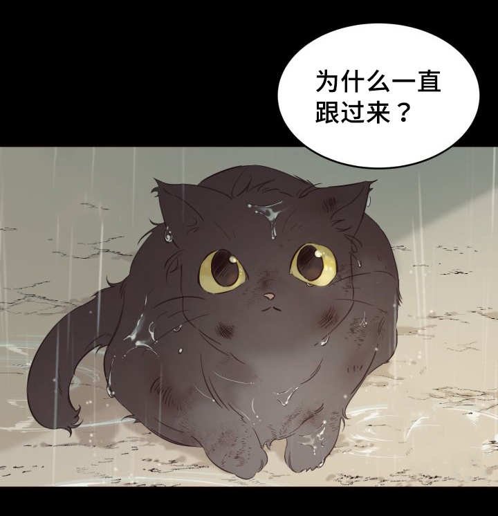 第24章：不然就杀了