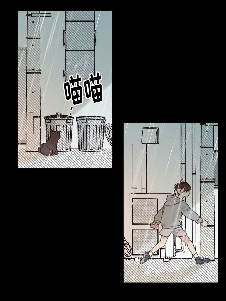 第24章：不然就杀了