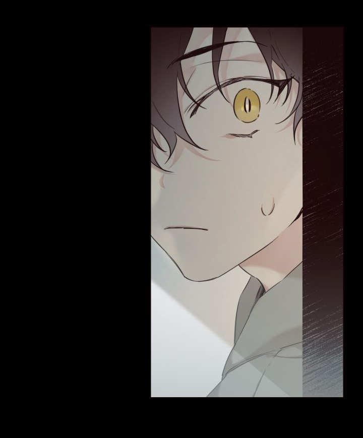 第24章：不然就杀了