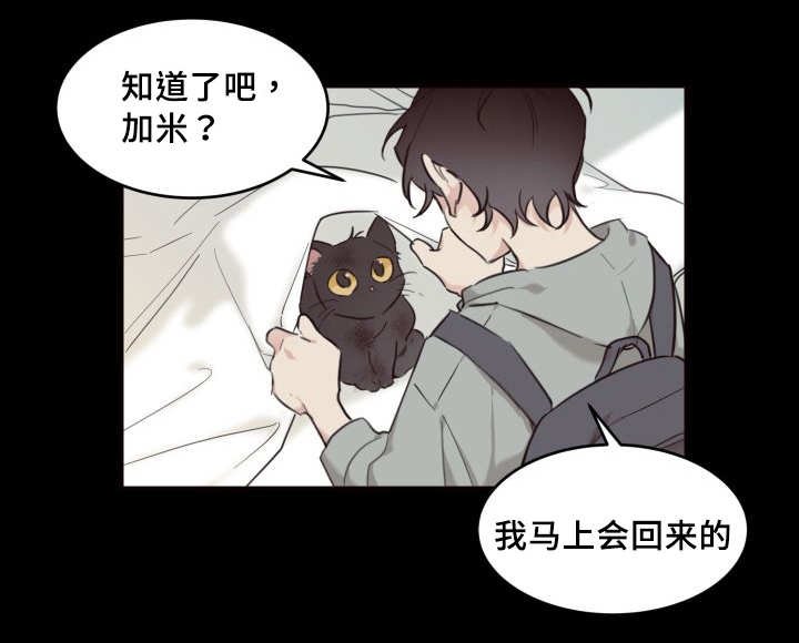 第24章：不然就杀了