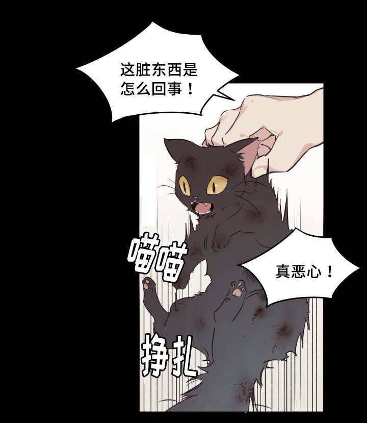 第24章：不然就杀了
