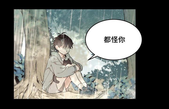 第25章：新的猫咪
