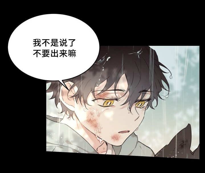 第25章：新的猫咪
