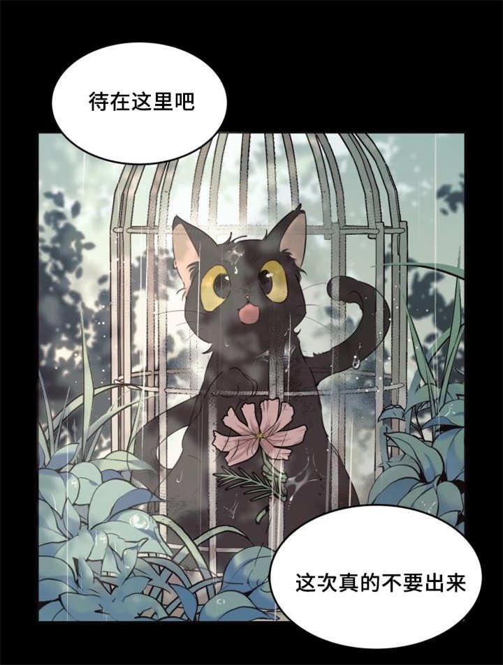 第25章：新的猫咪