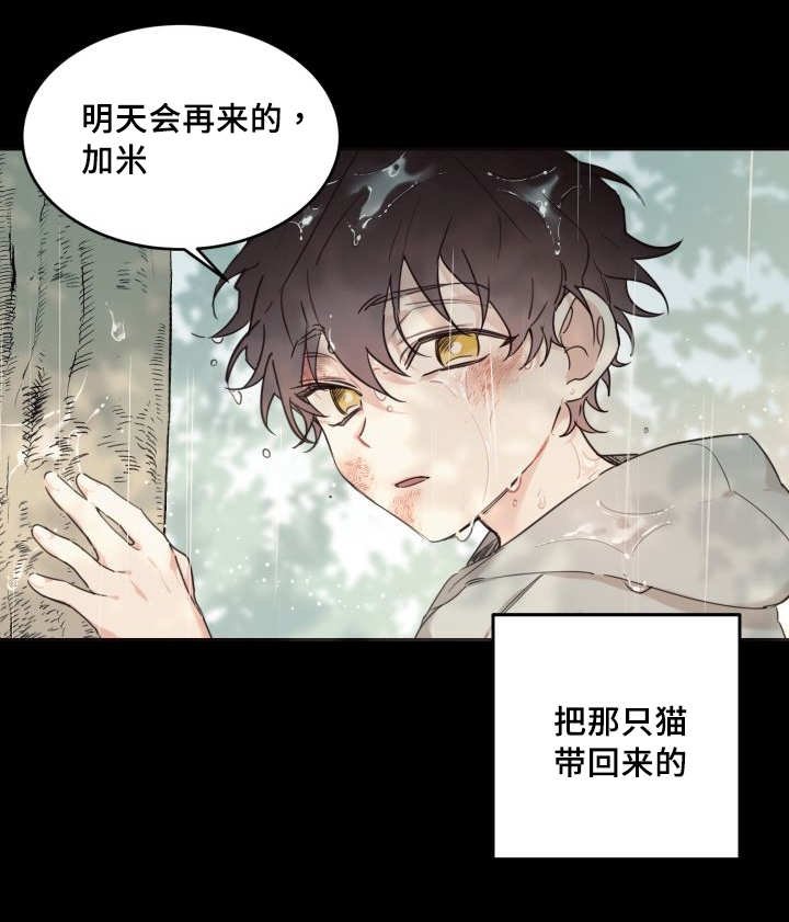 第25章：新的猫咪