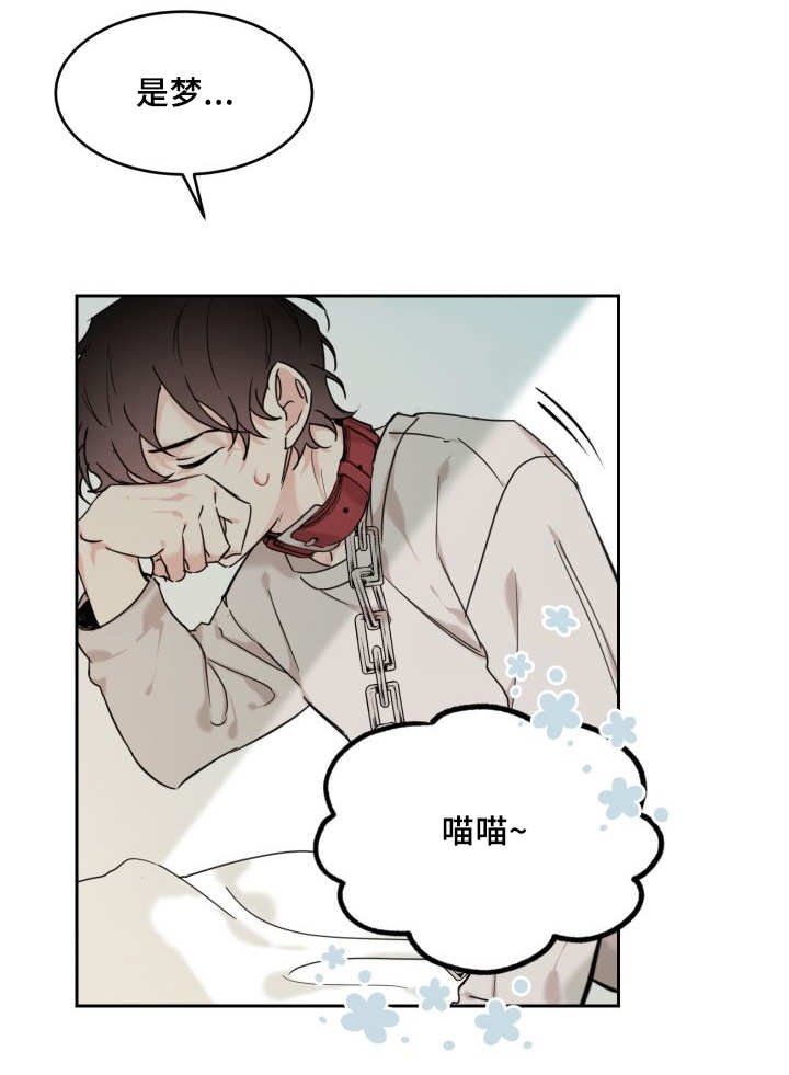 第25章：新的猫咪