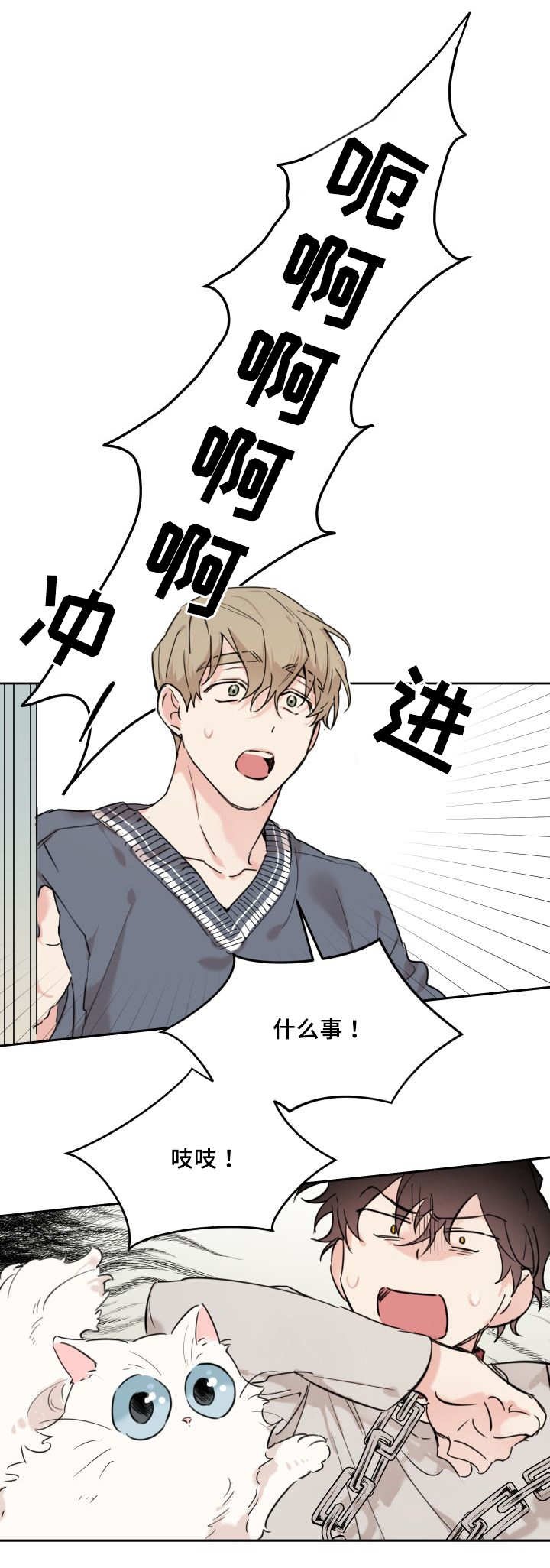 第25章：新的猫咪