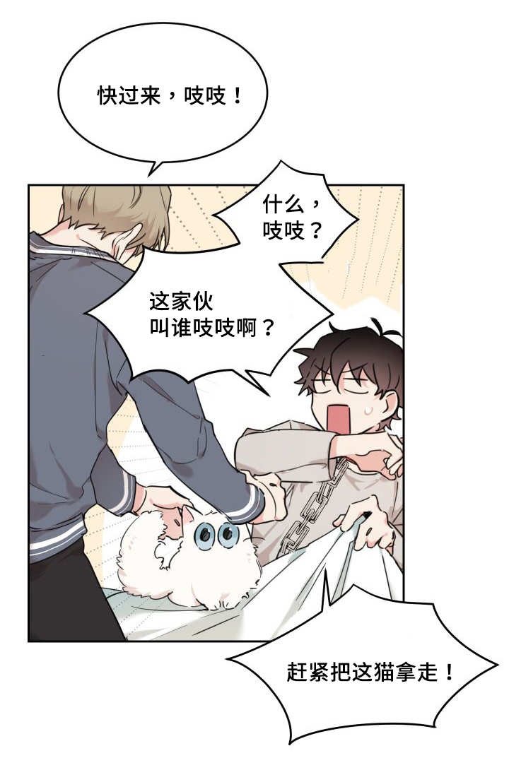 第25章：新的猫咪