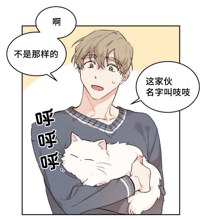 第25章：新的猫咪