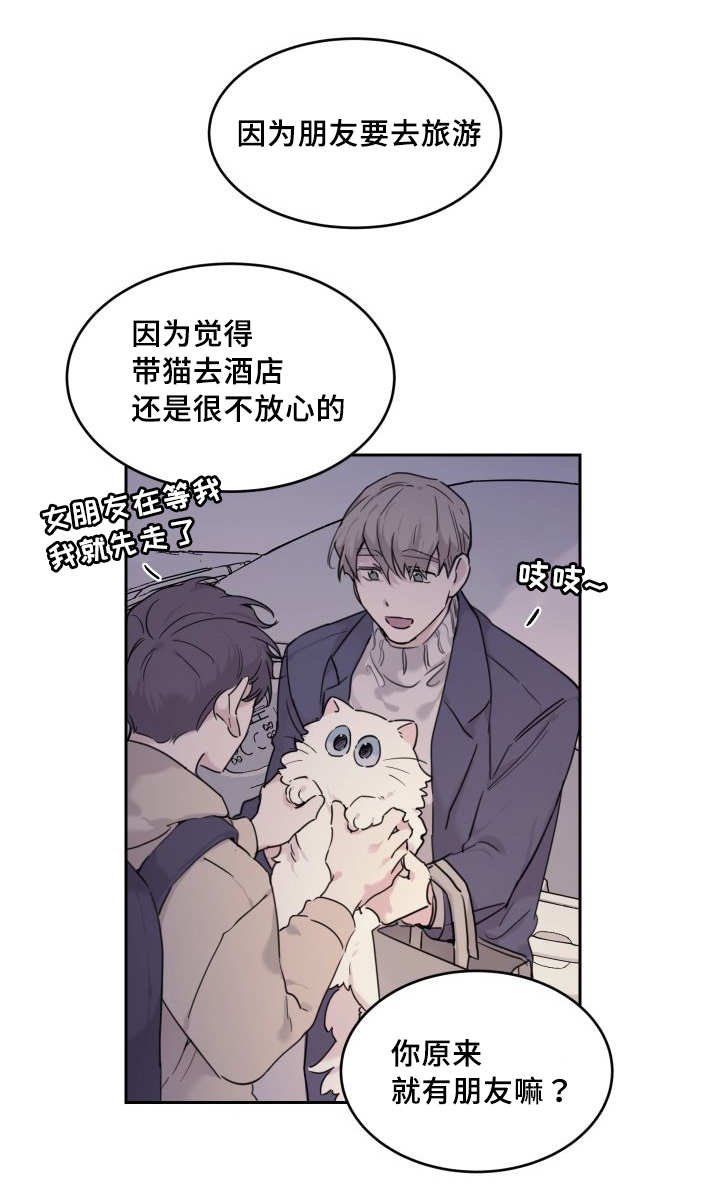 第25章：新的猫咪