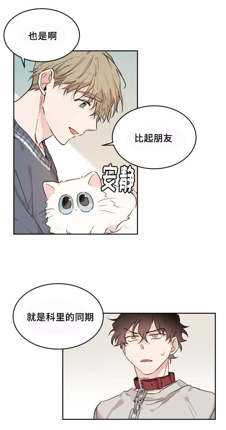 第25章：新的猫咪