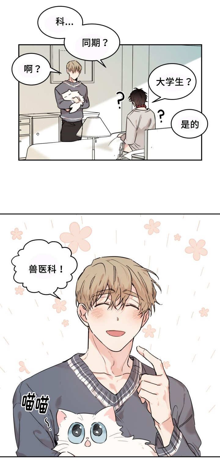 第25章：新的猫咪