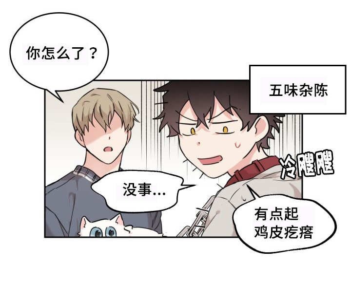 第25章：新的猫咪