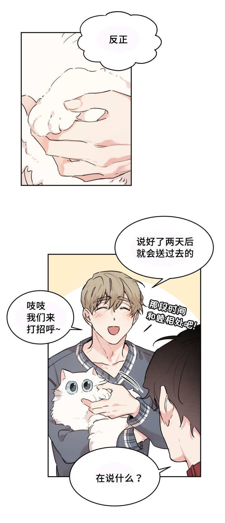 第25章：新的猫咪