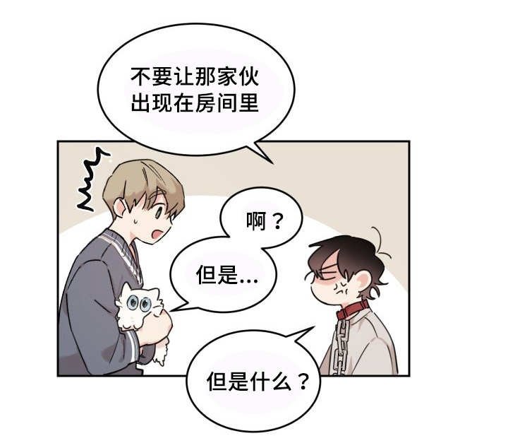 第25章：新的猫咪