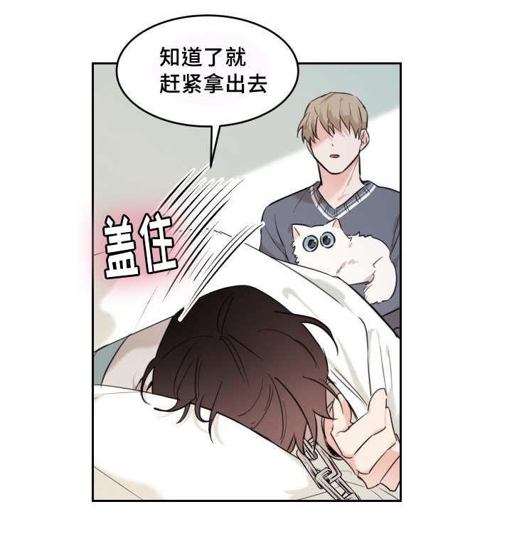 第25章：新的猫咪